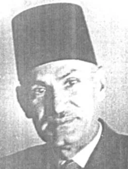 محمد الحناوي