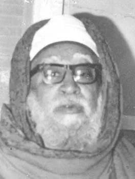 محمد عبده الإسنوي