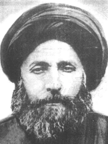 حسن محمود الأمين