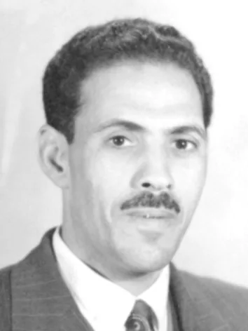 حلمي عبد الجواد السباعي