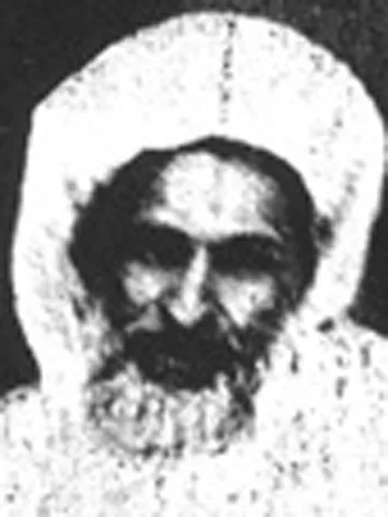 أحمد بن المأمون البلغيثي