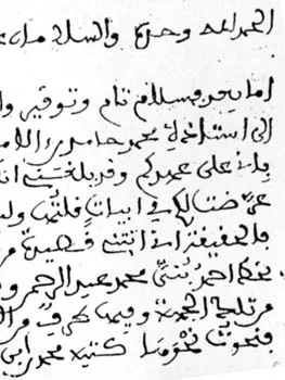 محمد ولد ابن ولد أحميدا