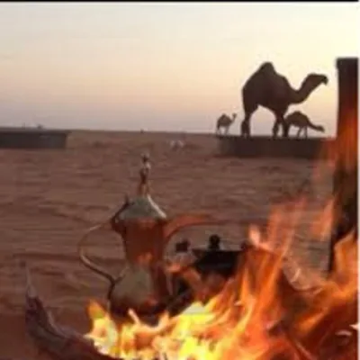 فتيني بن شاكر مجرشي
