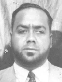 محمود فتحي أبو النصر