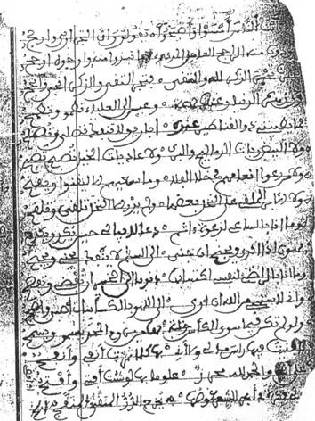 بدي بن الدين
