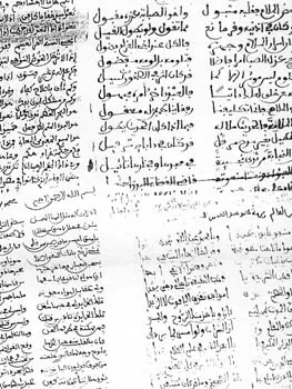 محمدن العالم المالكي
