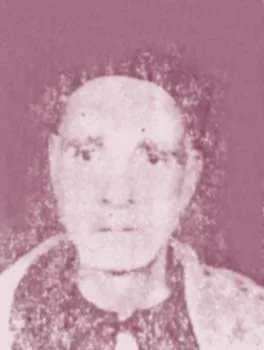 عبد الحميد أبو شهبة
