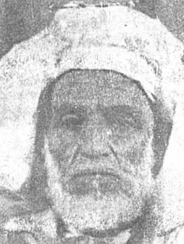 محمد بن هاشم العلوي