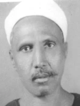محمد الشرقاوي الحامدي