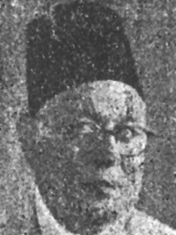 أحمد وافي