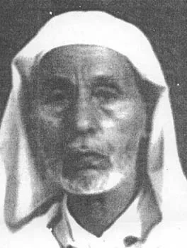 محمد الضوء السباعي