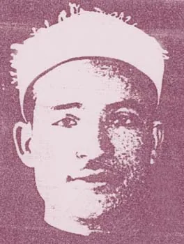 كامل أحمد العشري