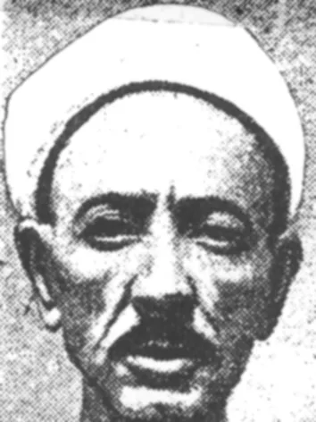 سيد علي المرصفي