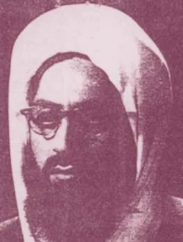 قطب الدين الحامدي