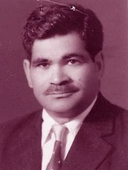 محمود محمد المصري
