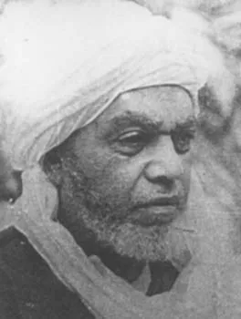 محمد الحافظ التجاني