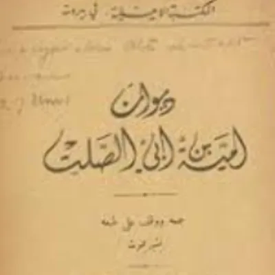 أبو الصلت الداني