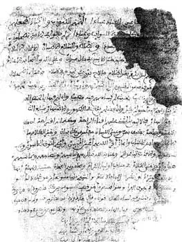 محمد بن محمد فال