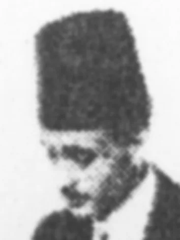 طاهر الطناحي