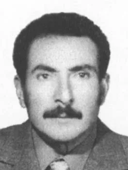 محمد منير طه اللمعي
