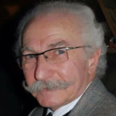 حسام تحسين بيك