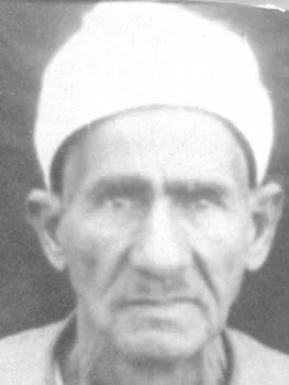 محمود عبد الحق خفاجي