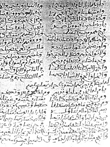 أحمذو بن زياد