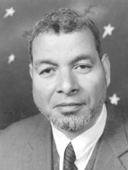 محمد علي أبو المجد