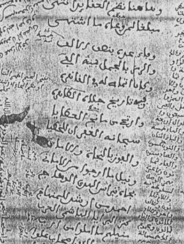 محمد عالي بن نعم