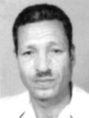 سيد سرحان المرصفي