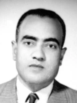 محمد الحوفي