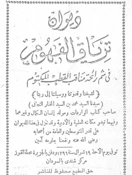 محمد المختار الشنقيطي