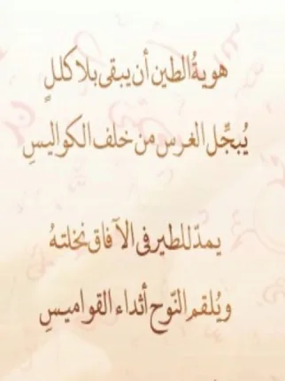 محمد مكي النعمي