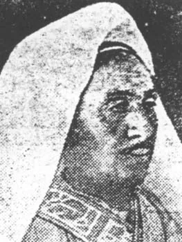 محمد بن علي الإدريسي