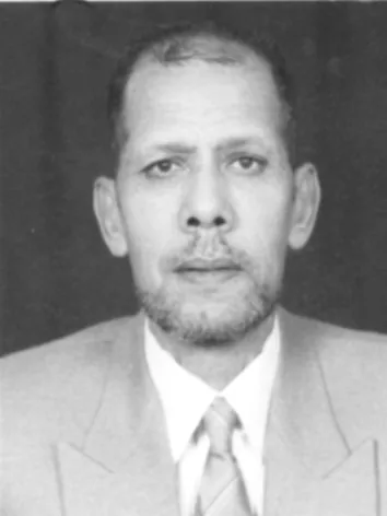 حامد شحاتة فؤاد