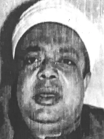 أحمد الشافعي أبو خليل