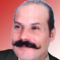 أحمد راضي اللاوندي