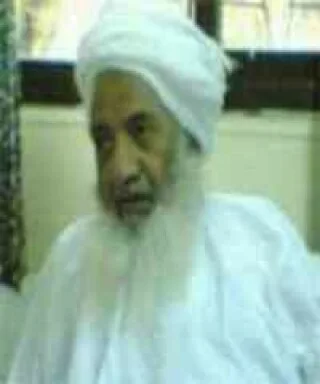 سيف بن محمد الفارسي