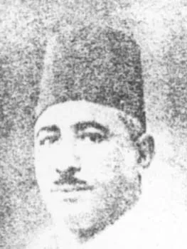 محمود أنيس