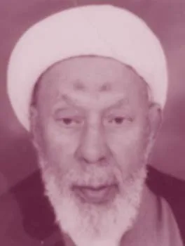 عبد المجيد أبو المكارم