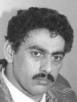 مجد الدين المرادي