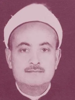 علي أبو النصر
