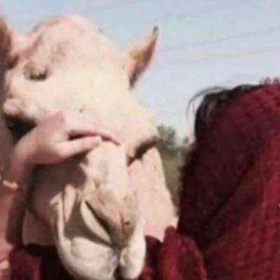 مريم السبيعي