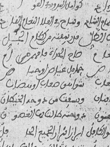 ألدا بن محمد