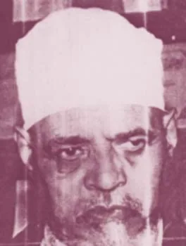 عبد الرحمن حسن محمود