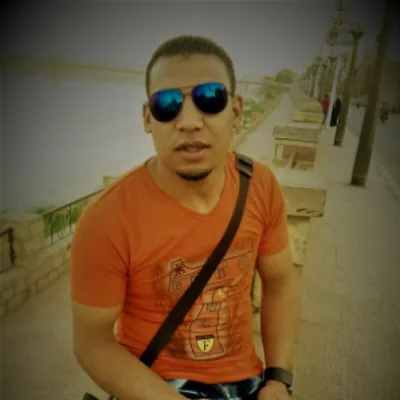 هاني السفير