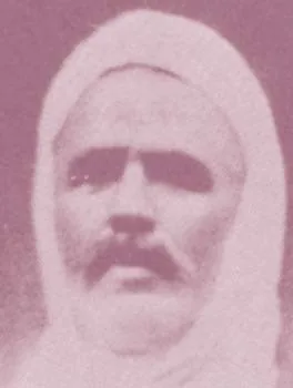 عامر الشابي