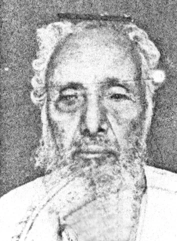 أحمد حامد بن أبي