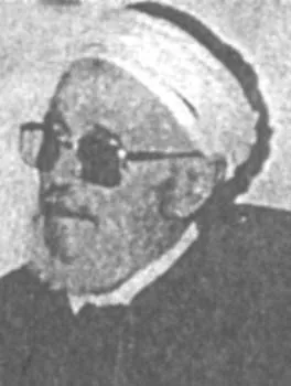 محمد الشاذلي النيفر