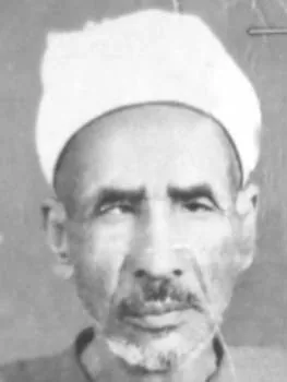 مغازي عامر